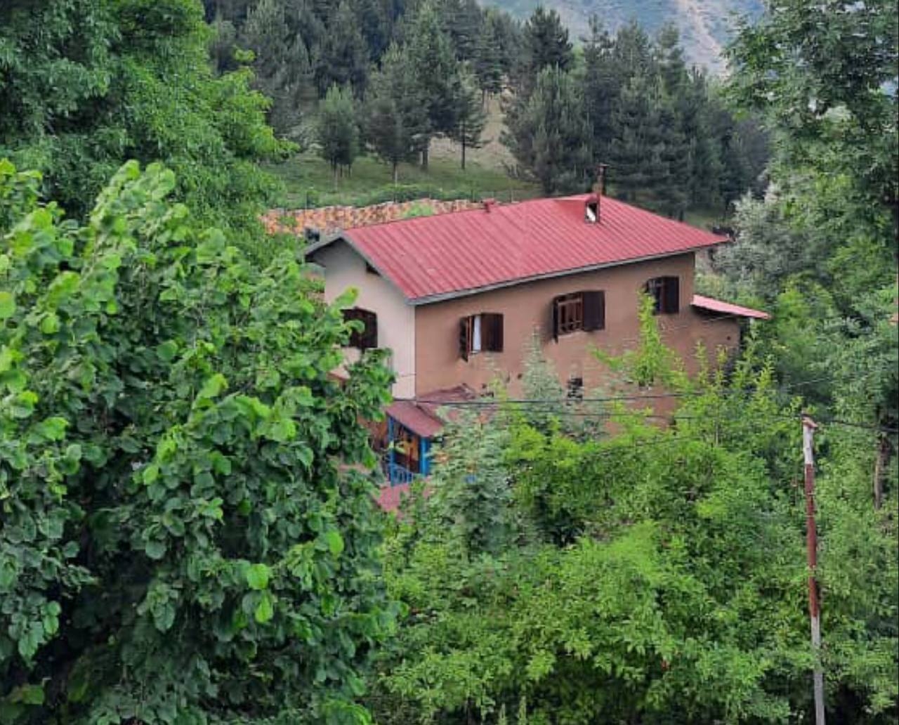 اجاره کلبه جنگلی در جواهرده رامسر