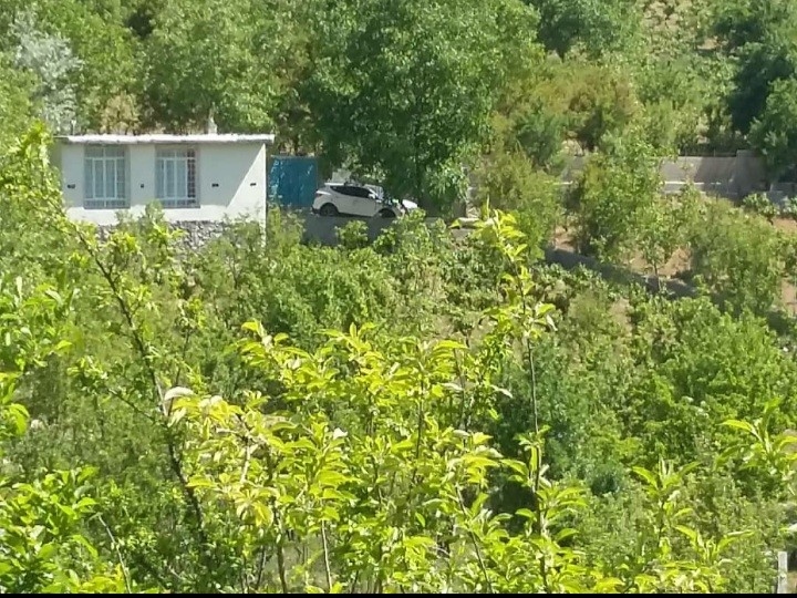 اجاره خانه باغ در سی سخت (سیسخت) - یاسوج