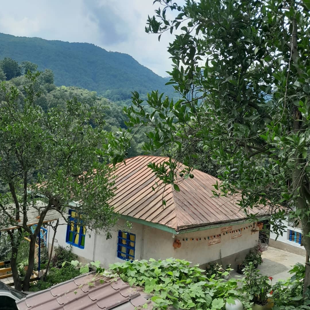 اقامتگاه سنتی جنگلی در انجیرکش رامسر - ننه گل