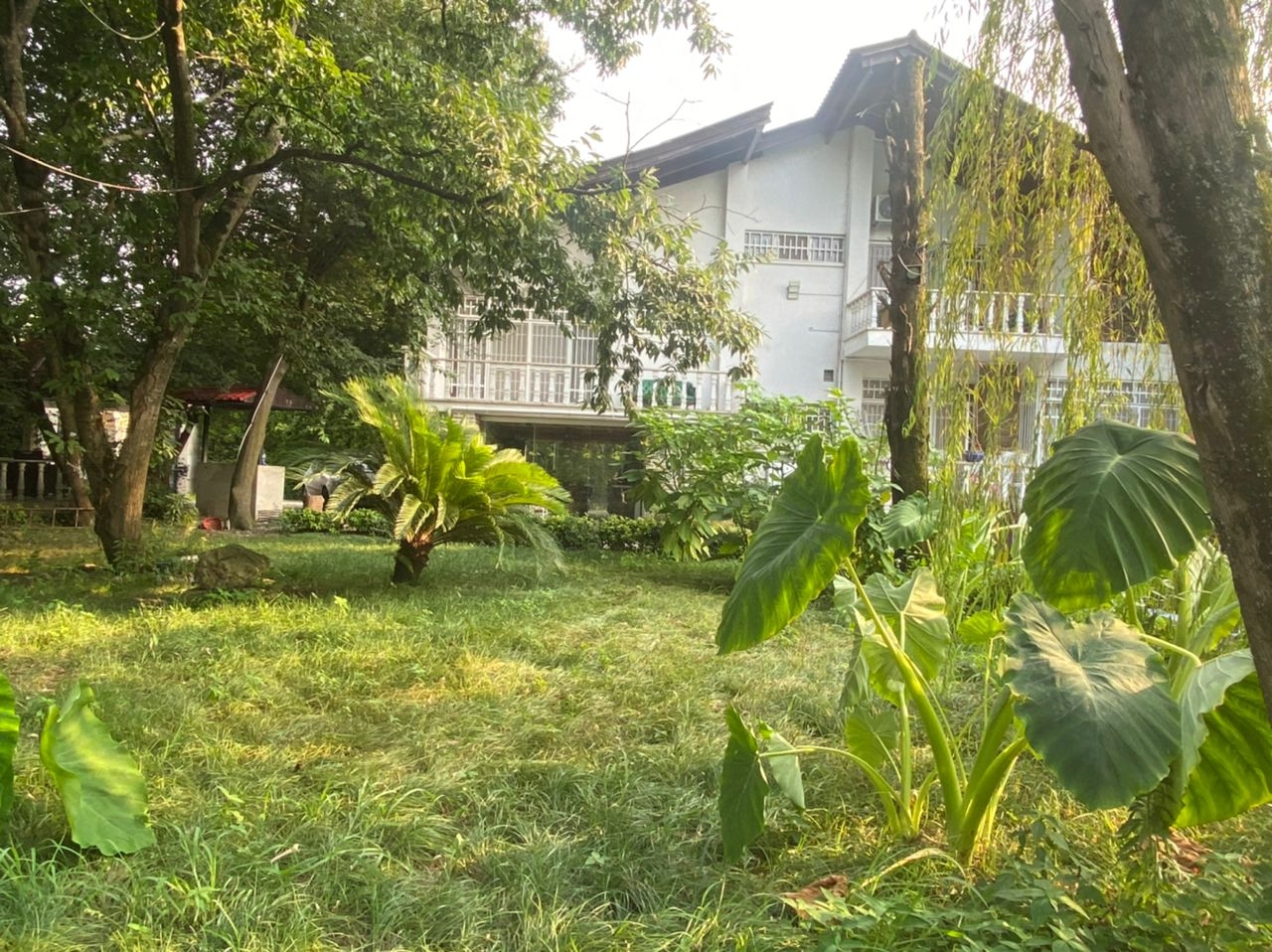 اجاره ویلا ساحلی با استخر آبگرم رو باز در رامسر