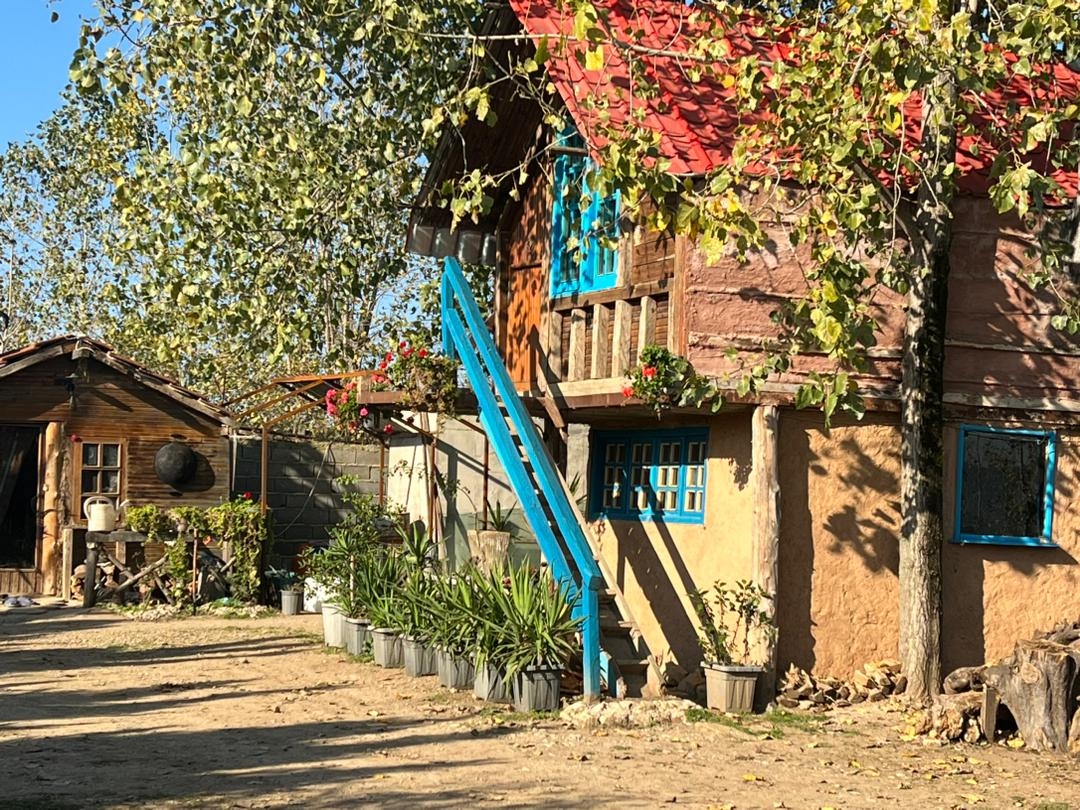 رزرو کلبه چوبی درختی در روستای امره ساری - الارا