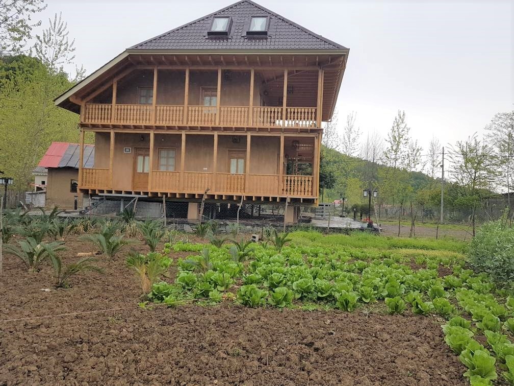 بومگردی جنگلی در روستای توتکی سیاهکل - واحد شوکا