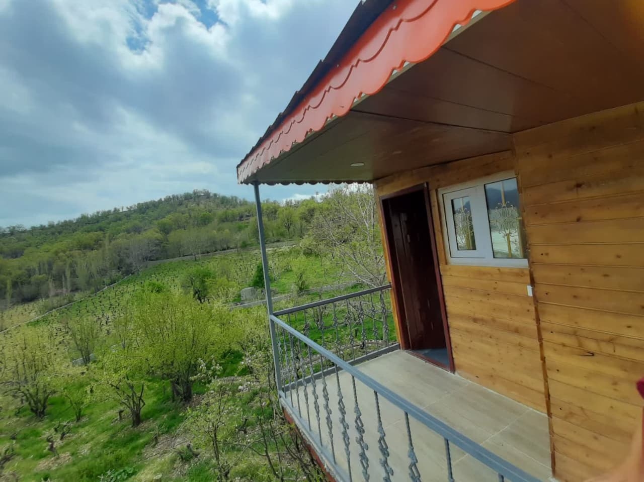 اجاره کلبه درختی در روستا بیاره سی سخت - یاسوج