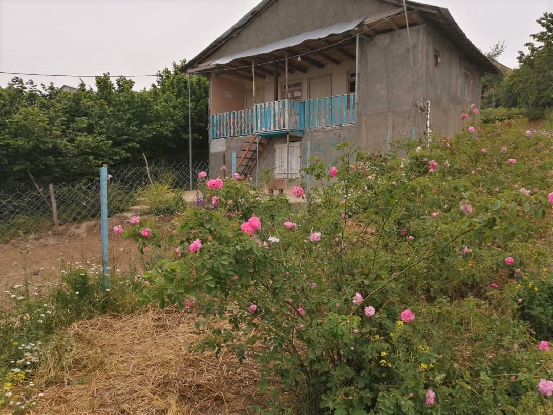 اجاره اقامتگاه سنتی در یخکش بهشهر - بلوط
