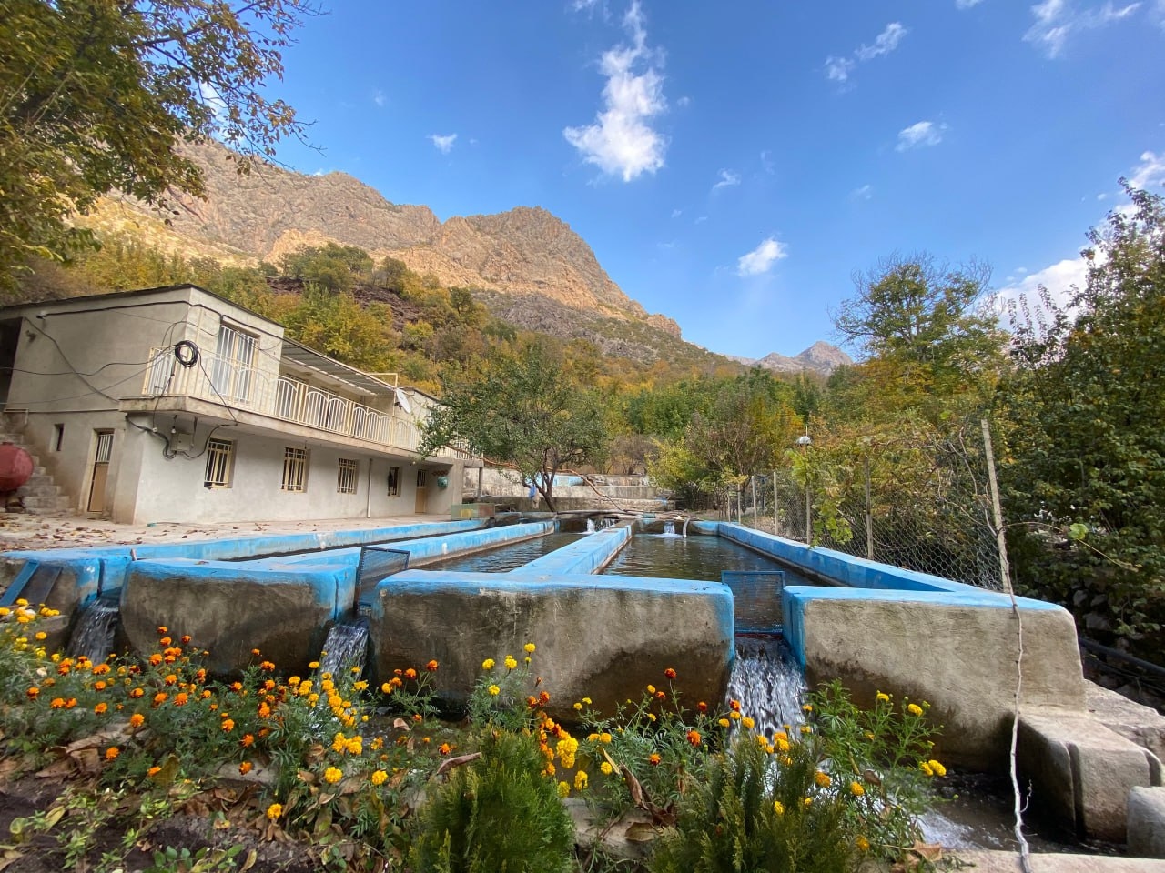 اجاره ی ویلا در داریان پاوه