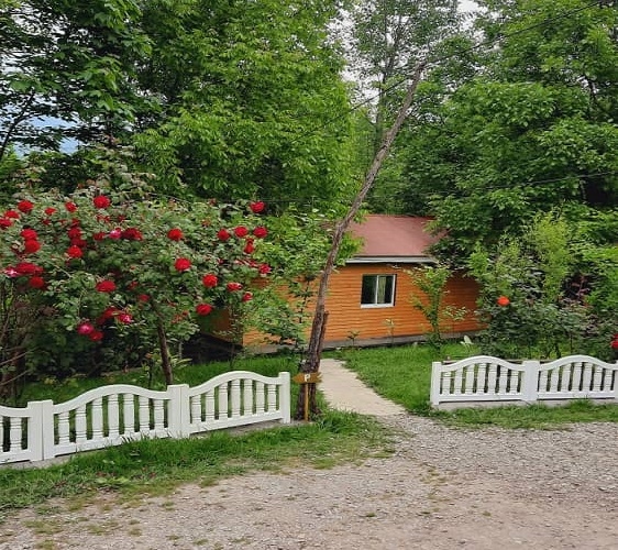 اجاره کلبه جنگلی چوبی در سیاه دول - کلبه 3