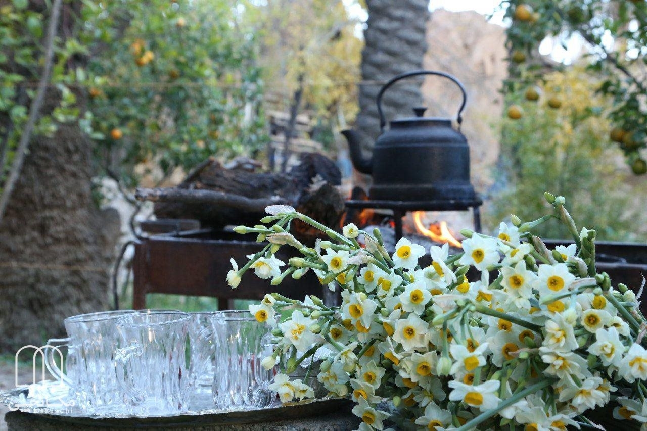 اجاره سوئیت در باغ تفریحی باب انار خفر