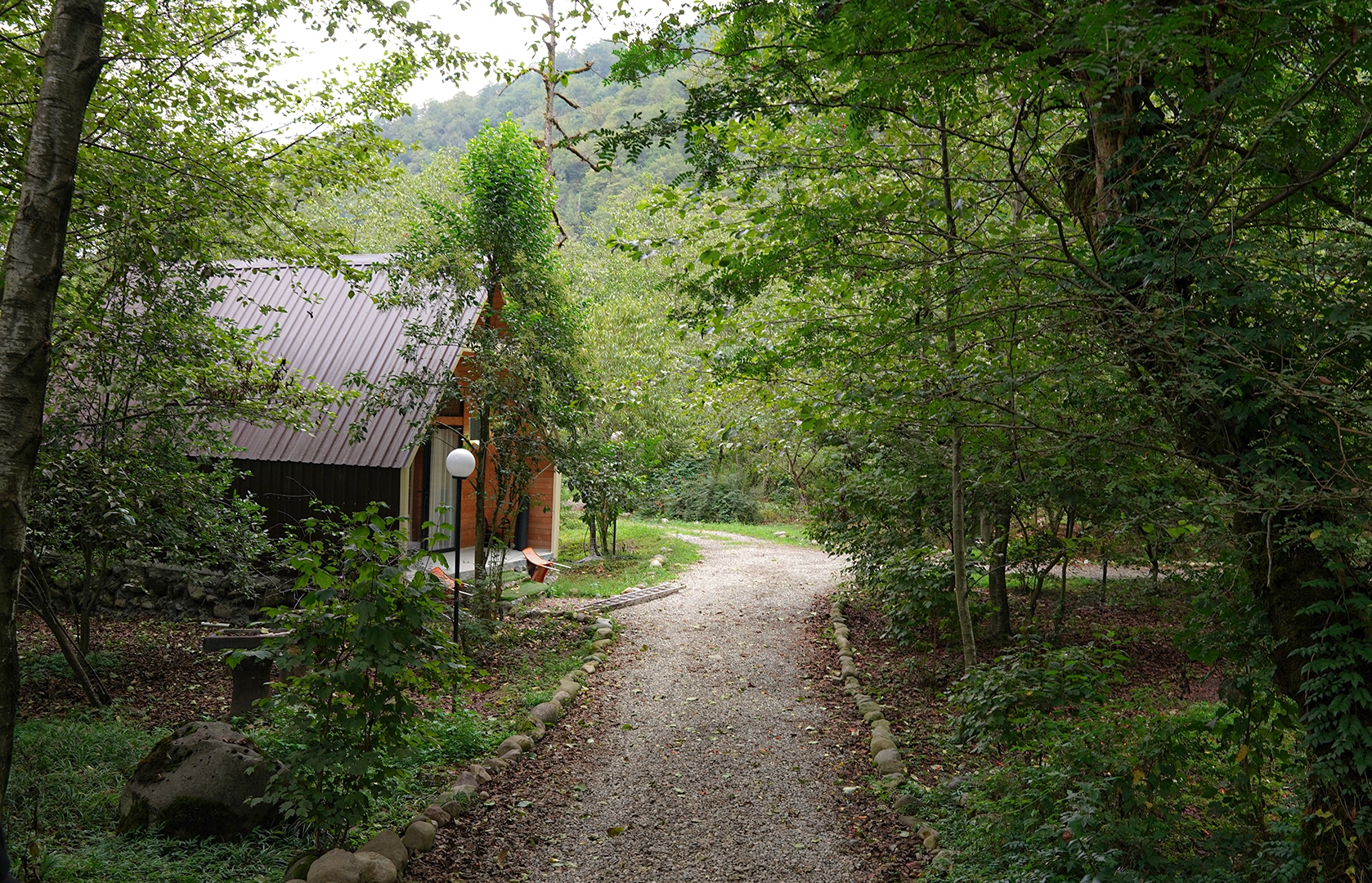 کلبه سوئیسی جنگلی در جنگل های سه هزار تنکابن - فلت 