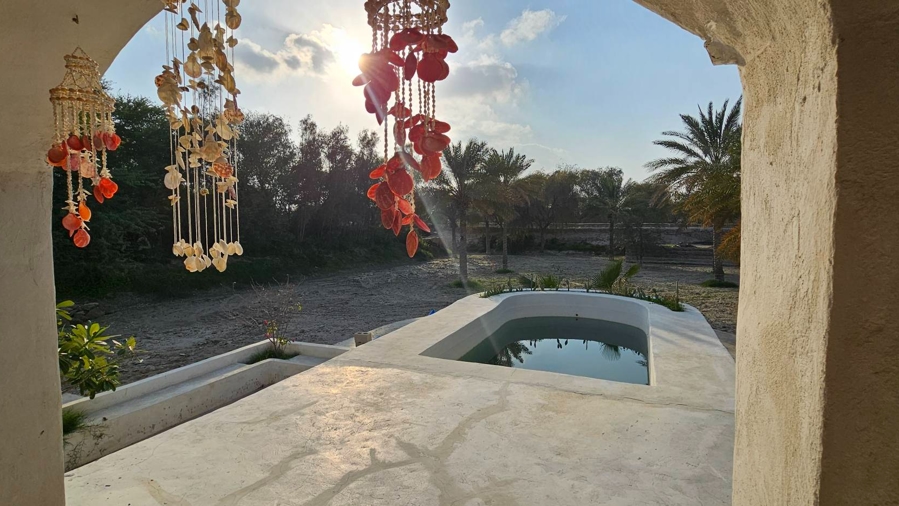 بومگردی در روستا معتمدآباد طبل - کاکتوس