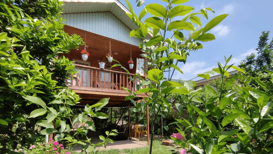 اجاره کلبه چوبی جنگلی در مرکیه بالا ماسال