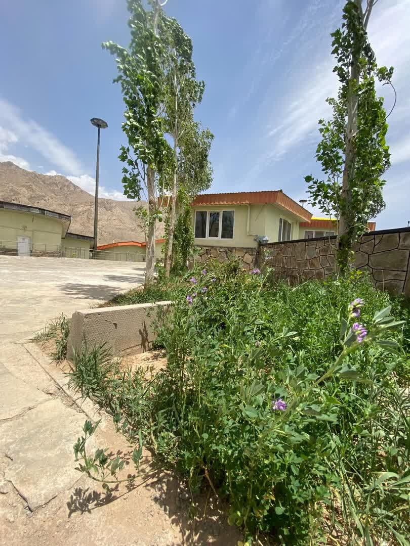 سوئیت کوهستانی در شهمیرزاد - 103 