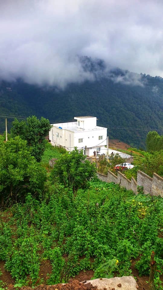 ویلا جنگلی در روستا ریگچشمه بالا مینودشت 