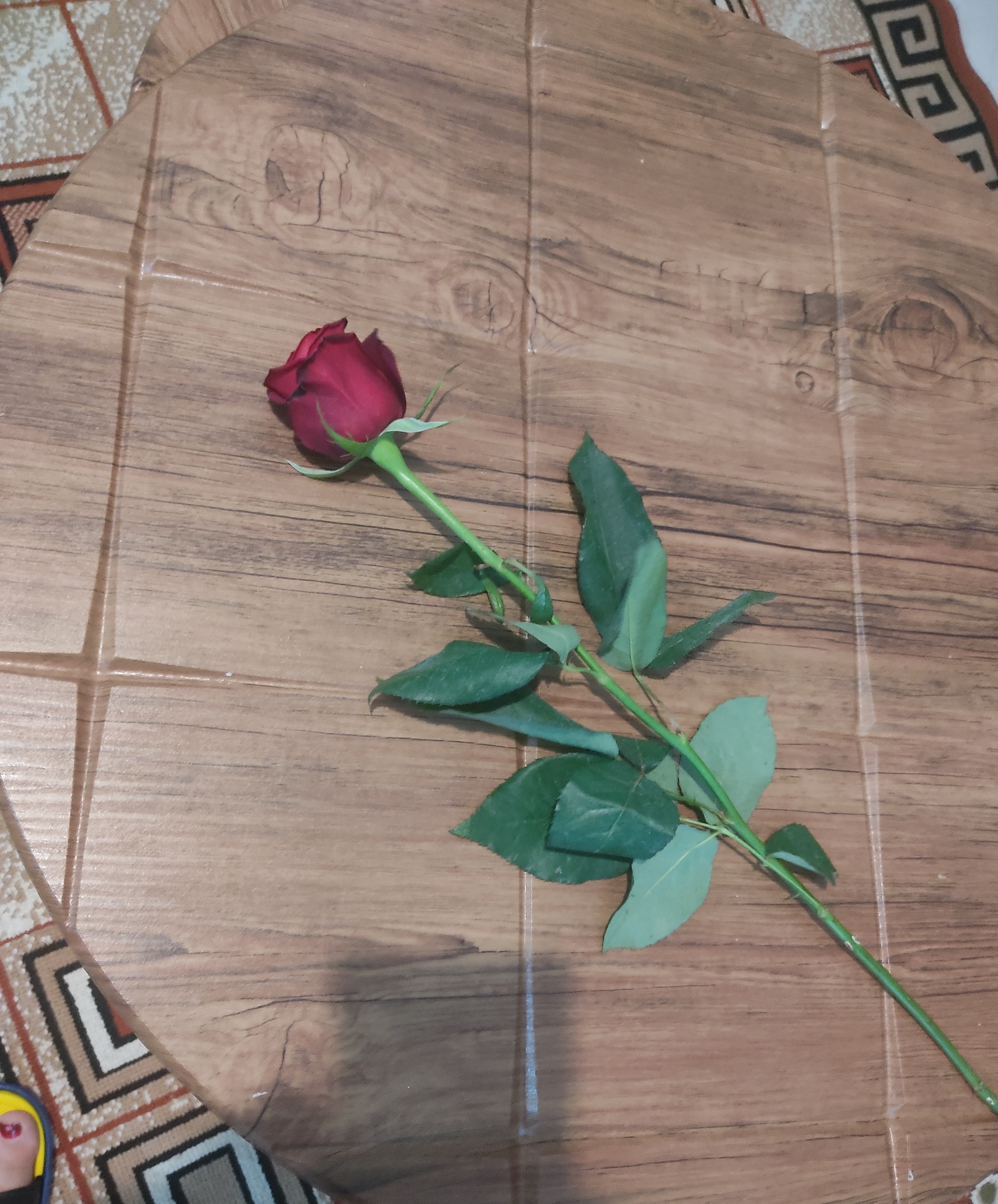 hostIntroImage-هاشم دلیرجلده باخانی