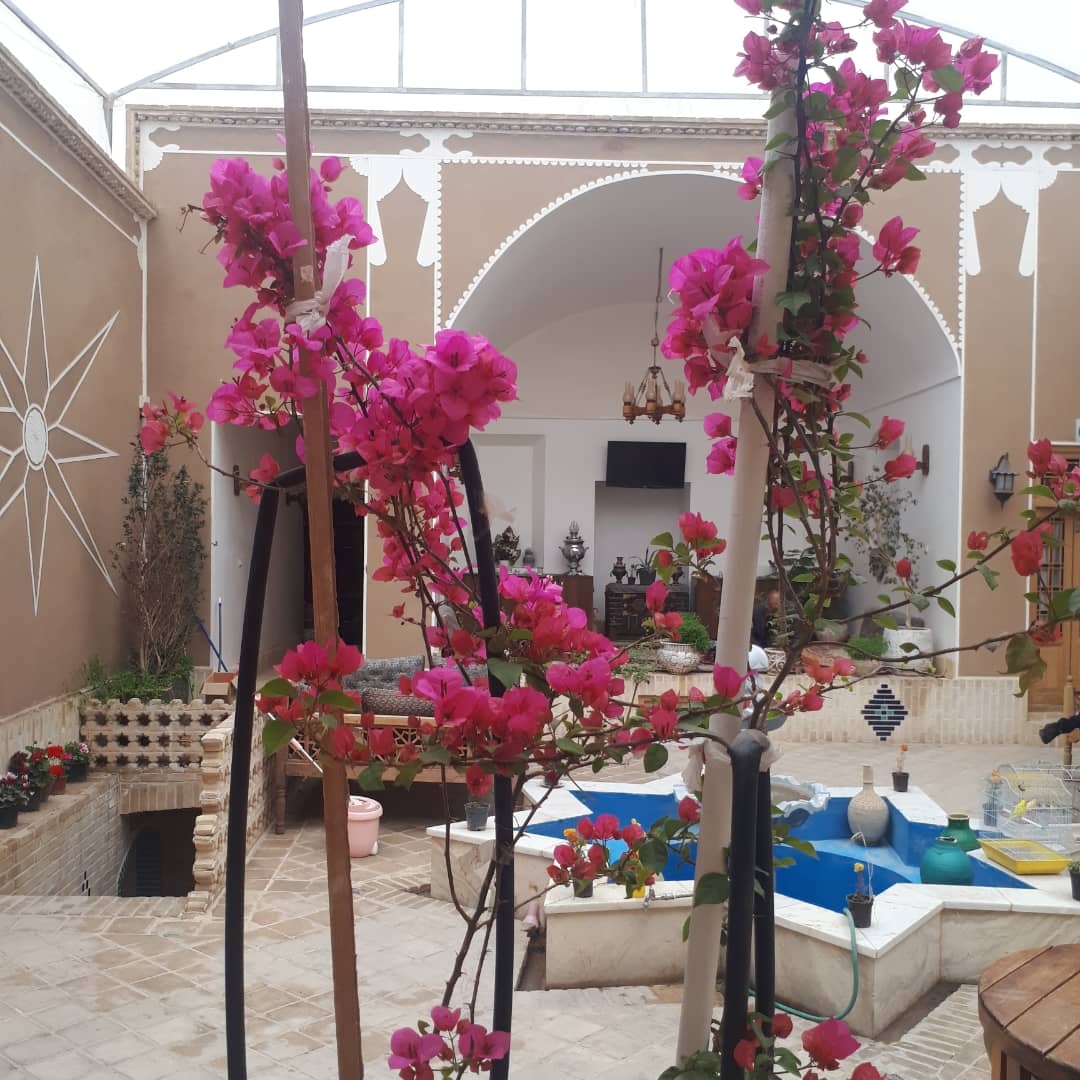 hostIntroImage-سمانه دهقان