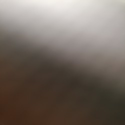 hostIntroImage-سید اکبر حسینی منش