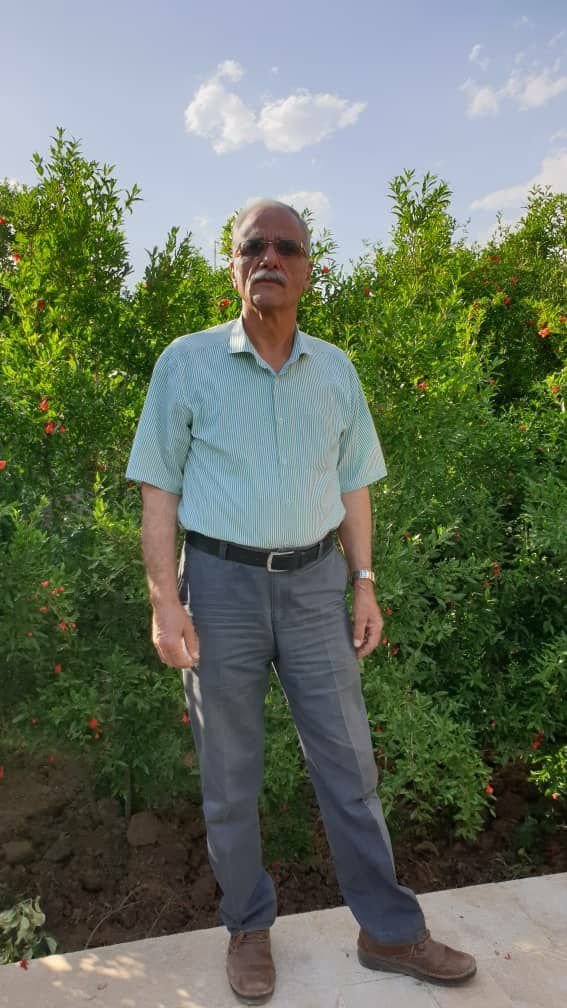 hostIntroImage-حامد امیری