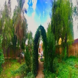 hostIntroImage-شهاب طیبی
