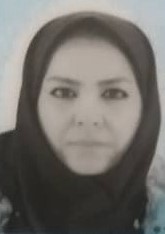 hostIntroImage-خدیجه پورجمشیدی 