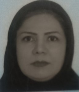 hostIntroImage-شهین سلاجقه 
