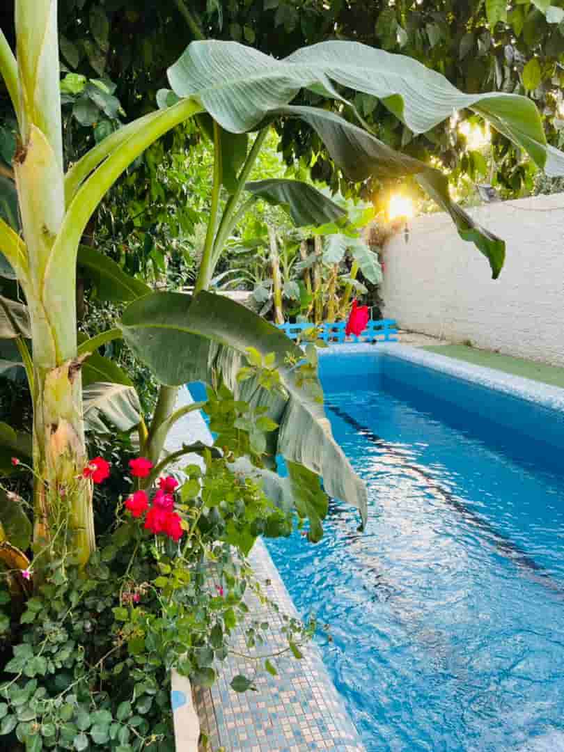 اجاره باغ با استخر روباز در منتظری دزفول