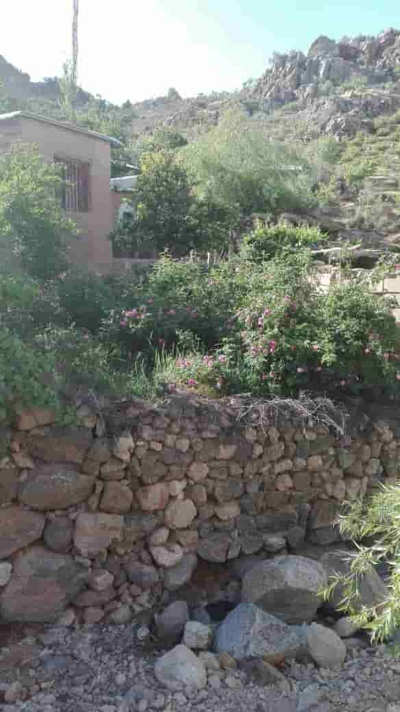 اقامتگاه بومگردی روستای لایزنگان علیا داراب