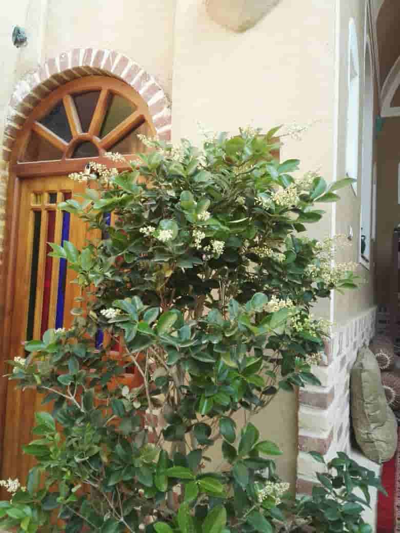 اجاره اتاق بومگردی در خور 