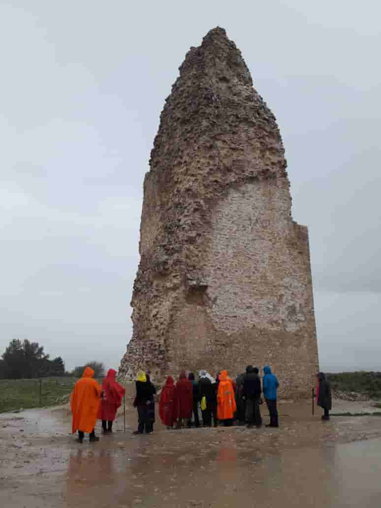 اجاره کلبه چوبی در کاخ اردشیر بابکان فیروزآباد - کلبه بزرگ