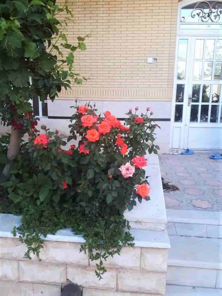 اجاره منزل  ویلایی در بلوار ایران صدرا -یک خوابه طبقه دوم70 متری