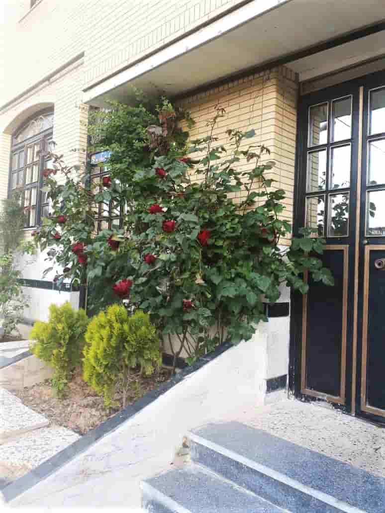 اجاره منزل  ویلایی در بلوار ایران صدرا -یک خوابه طبقه دوم70 متری