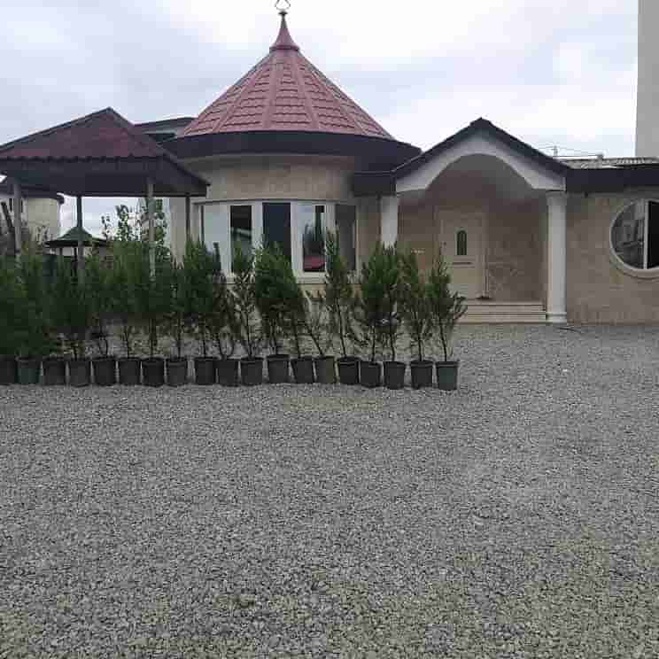 اجاره ویلا با استخر سر پوشیده آبگرم در نمک آبرود - نیلوفر