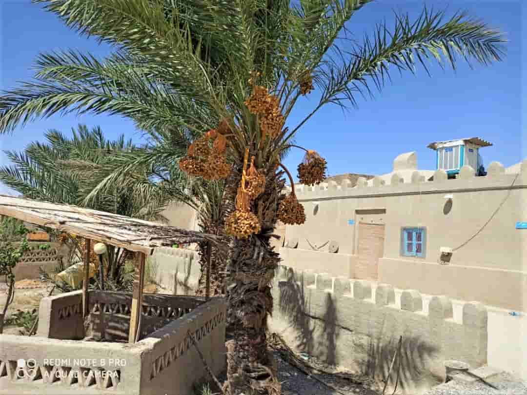 اجاره اتاق سنتی در نیمروز زابل