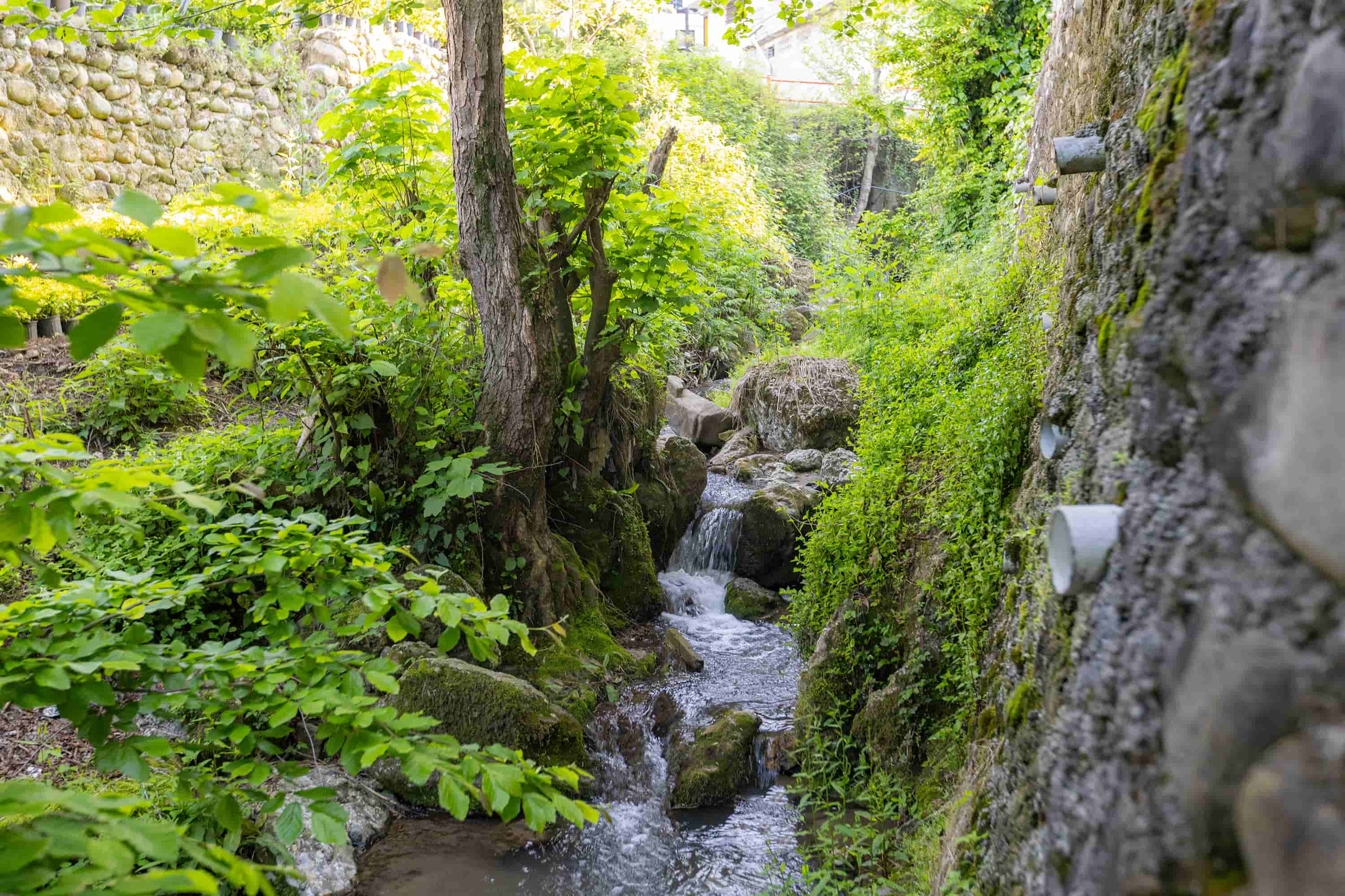 اجاره منزل ویلایی لب رودخانه رامسر