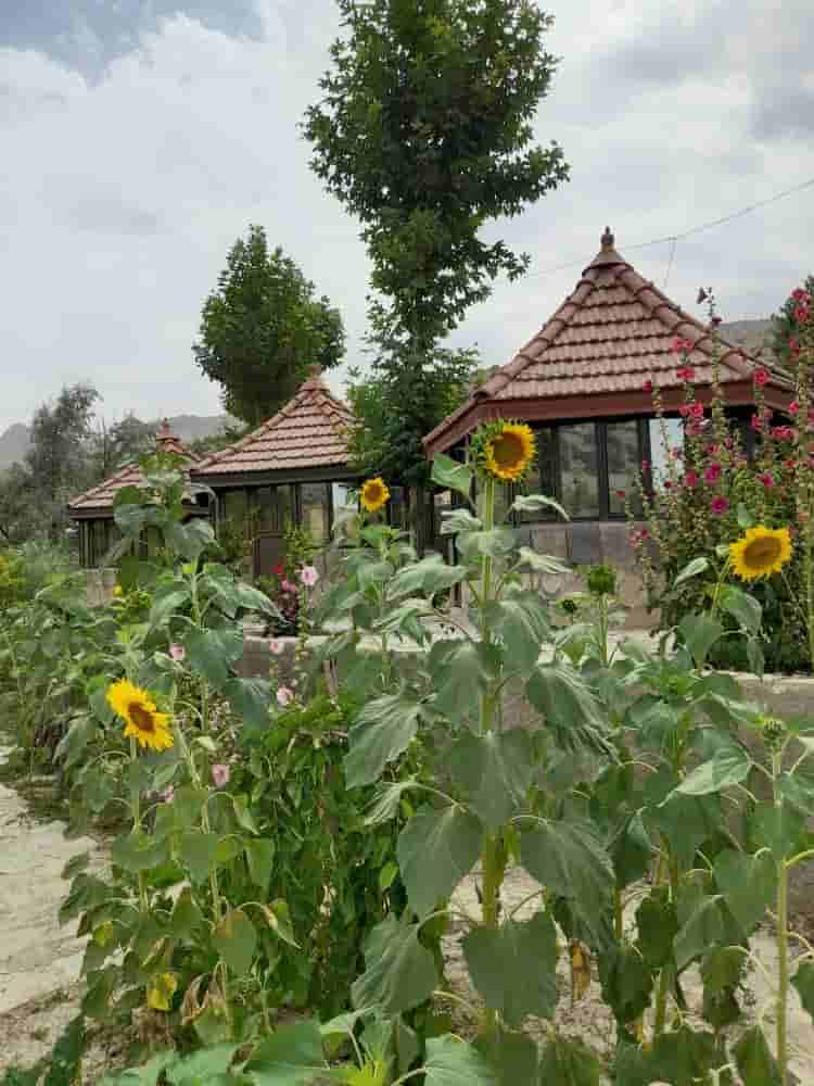 اجاره آلاچیق نزدیک به مارگون