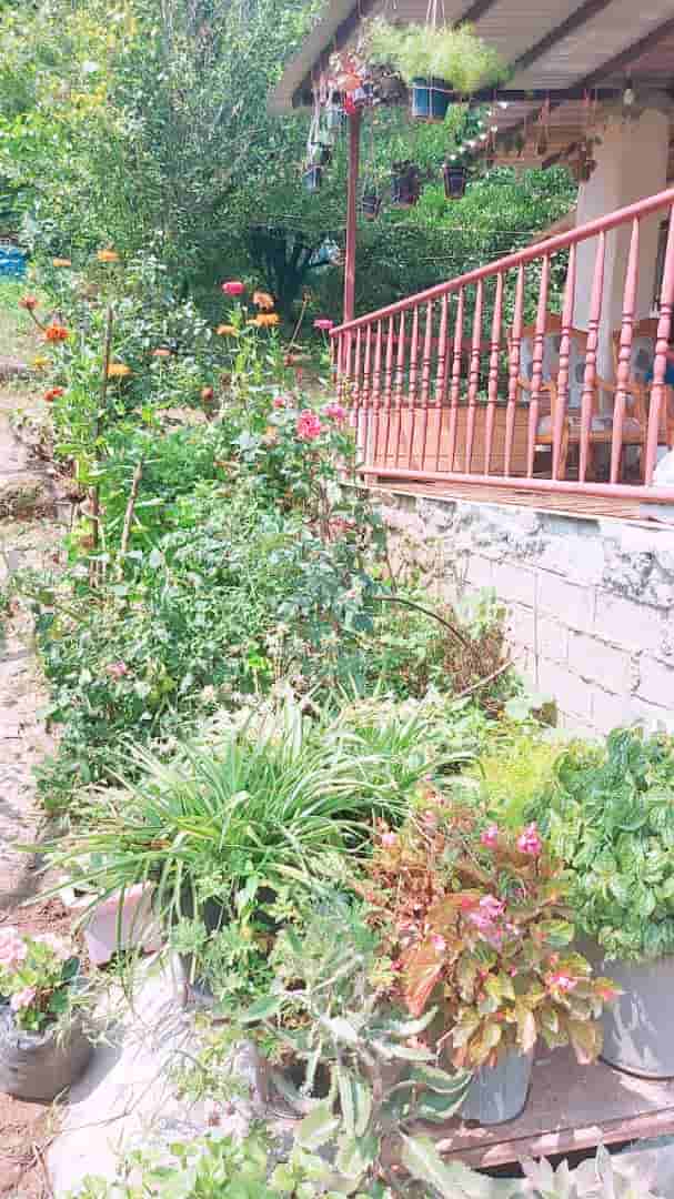 اجاره  ویلا جنگلی در روستای واسکس -قائم شهر - ویلا چشمه