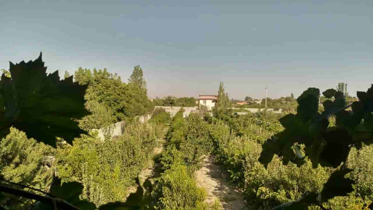 اجاره ویلا استخر دار در صالح آباد اورمیه