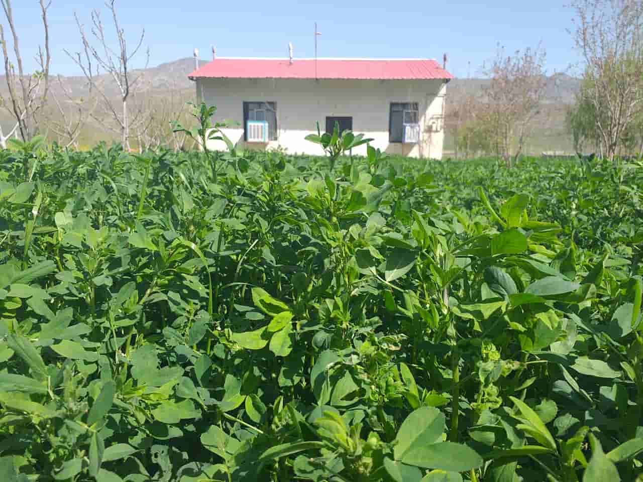 اجاره سوئیت سنتی در خداآفرین خمارلو- پنج تخته