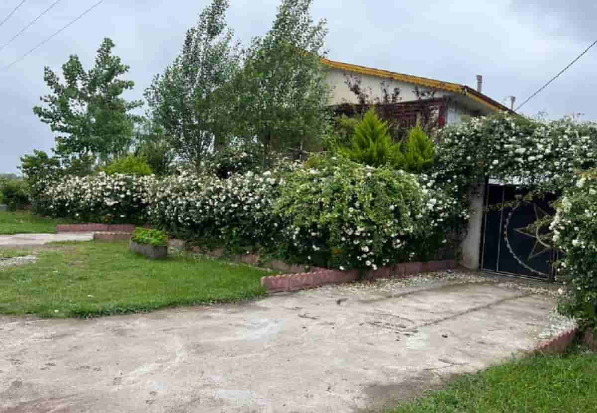 اجاره ویلا در روستای تازه آباد مرزیان - سیاهکل
