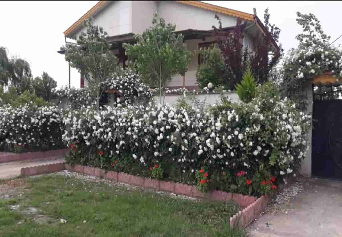 اجاره ویلا در روستای تازه آباد مرزیان - سیاهکل