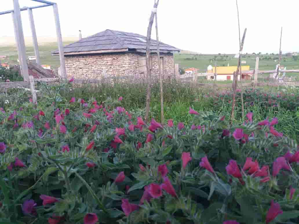 اجاره کلبه در ییلاقات سوباتان تالش
