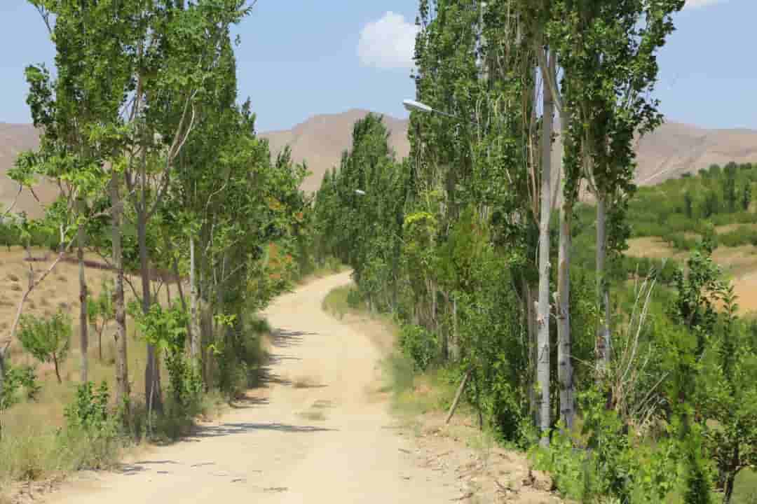 اجاره باغ ویلا در قوچان