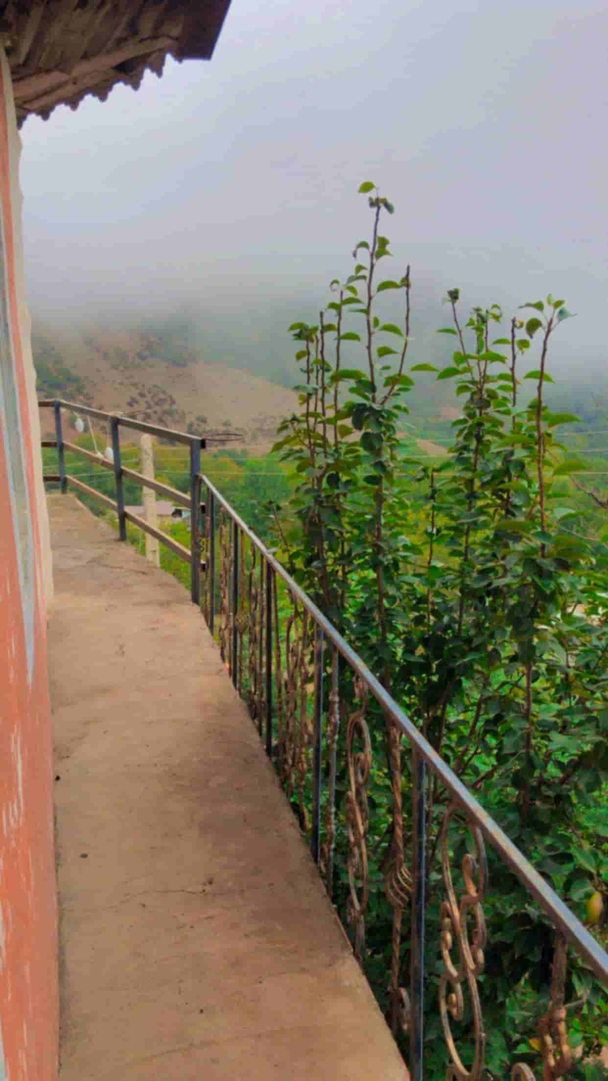 اجار ویلا جنگلی یک خوابه در تالش-طبقه ی اول