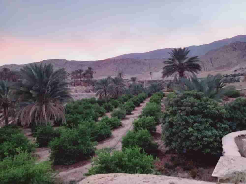 اقامتگاه بومگردی در روستای بادنجان جهرم - مهتاب