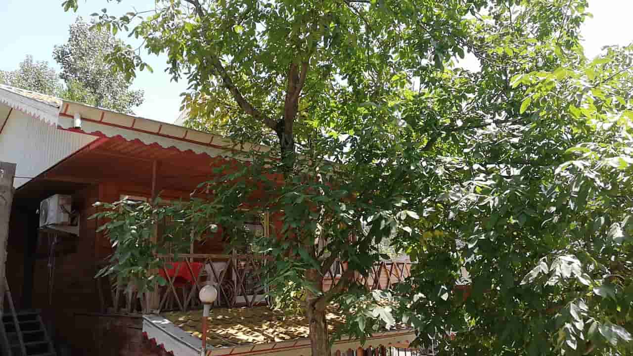 اجاره اقامتگاه بومگردی جنگلی در روستای طاسکوه ماسال - کلبه 6