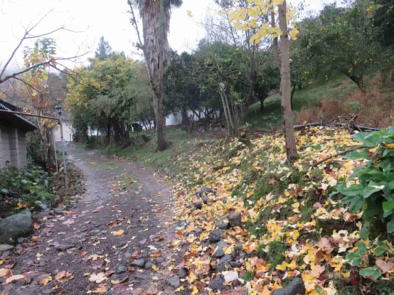 اجاره بوم گردی سنتی در شیرآباد تالش - گیسوم