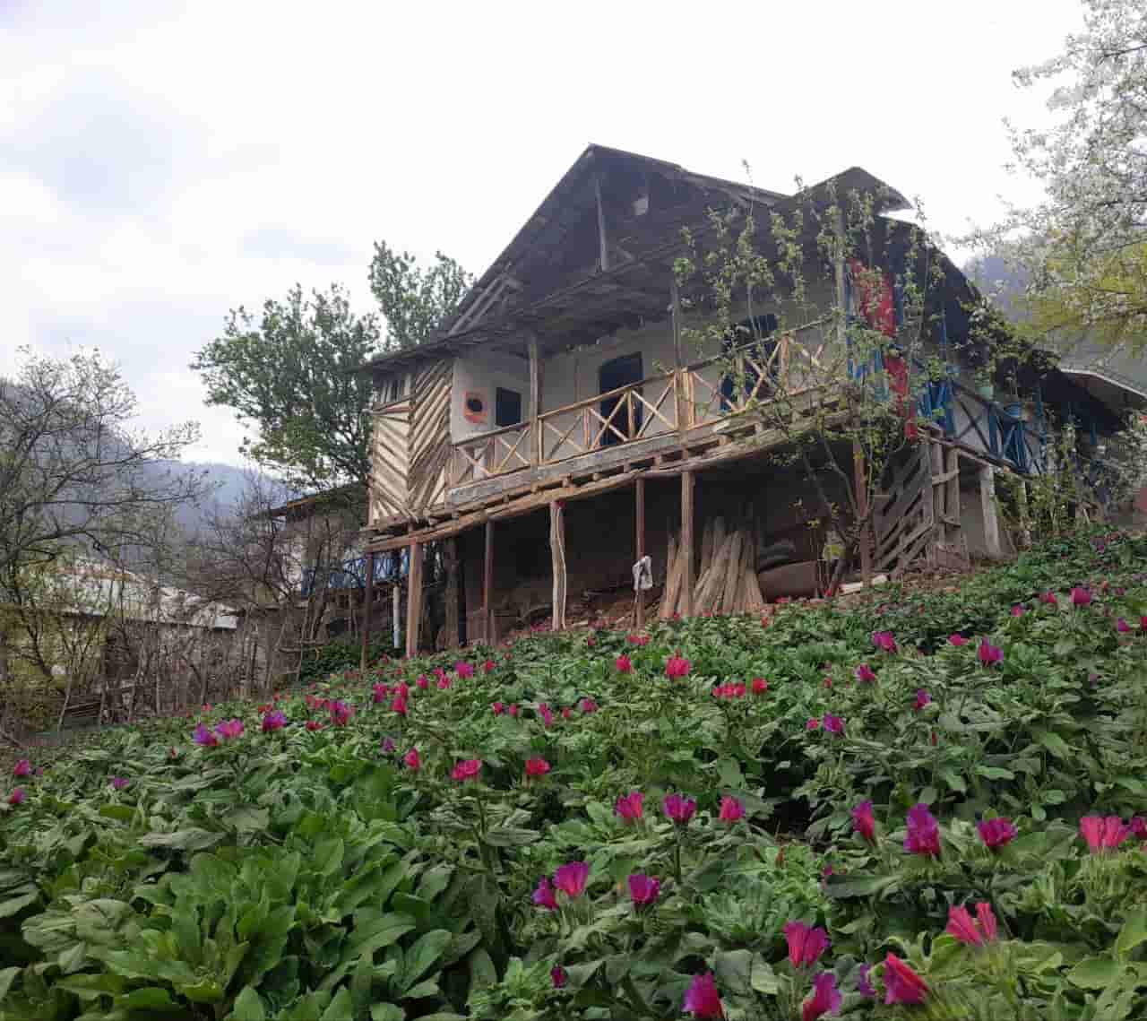 اجاره کلبه جنگلی در رحیم آباد رودسر - میلاش