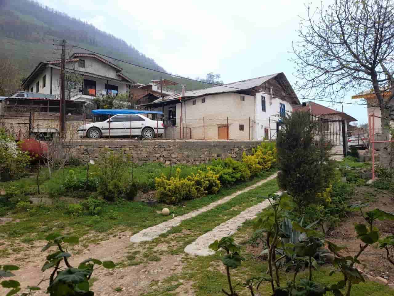 اجاره کلبه جنگلی در رحیم آباد رودسر - میلاش