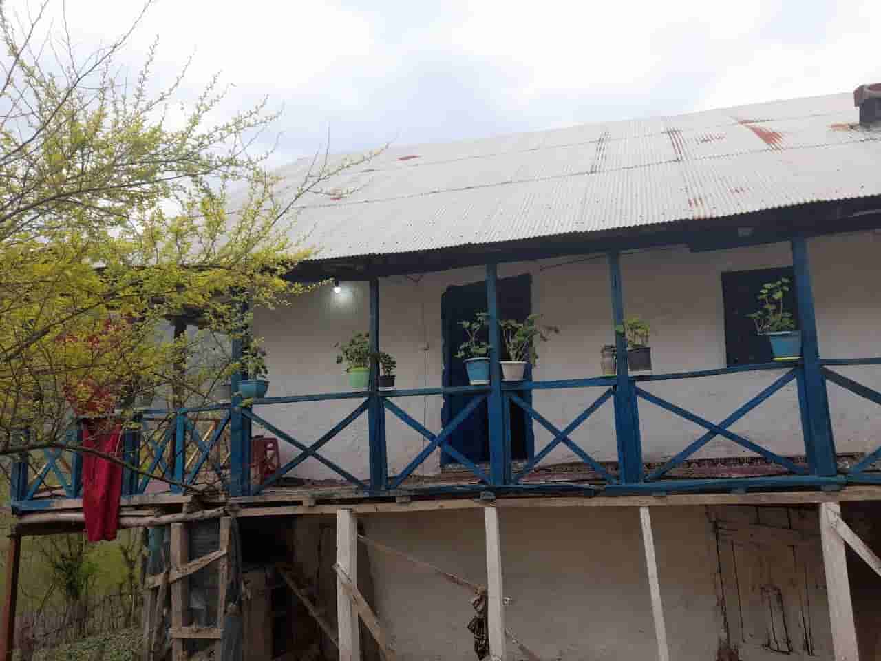 اجاره کلبه جنگلی در رحیم آباد رودسر - میلاش