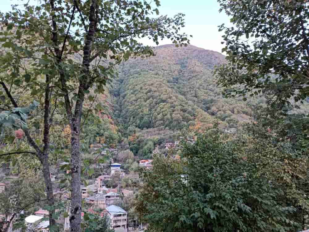 اجاره ویلا جنگلی یک خوابه در خلین دره علی آباد کتول