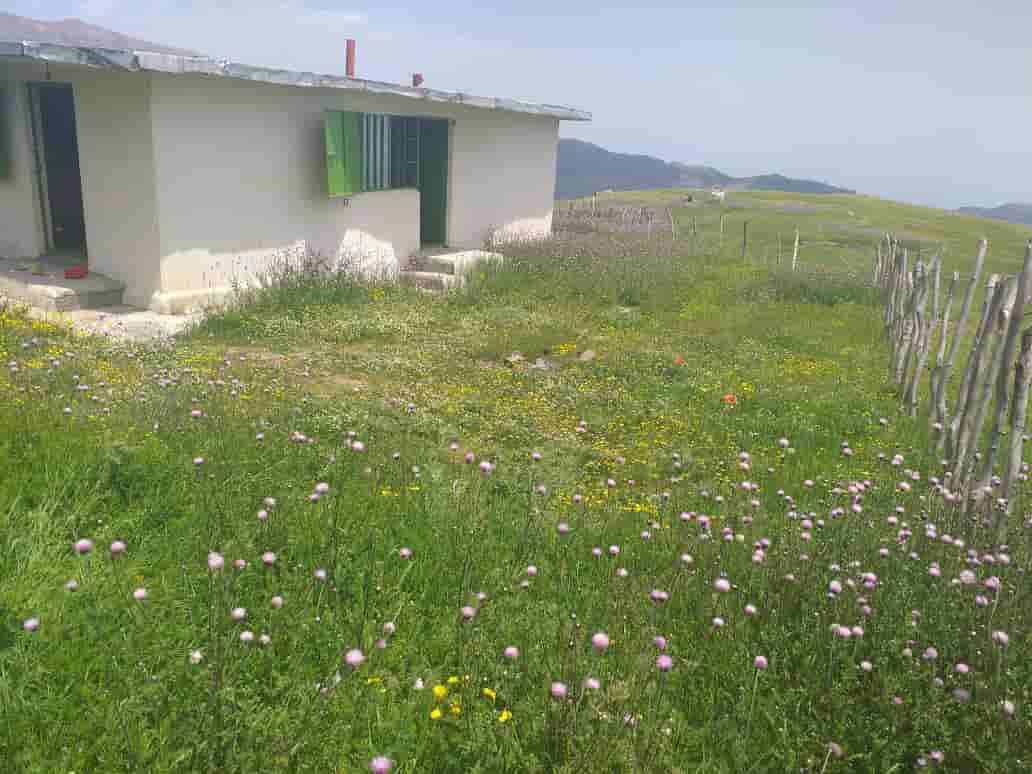 اجاره سوئیت کوهستانی ییلاقی در سوباتان - آبشار ورزان
