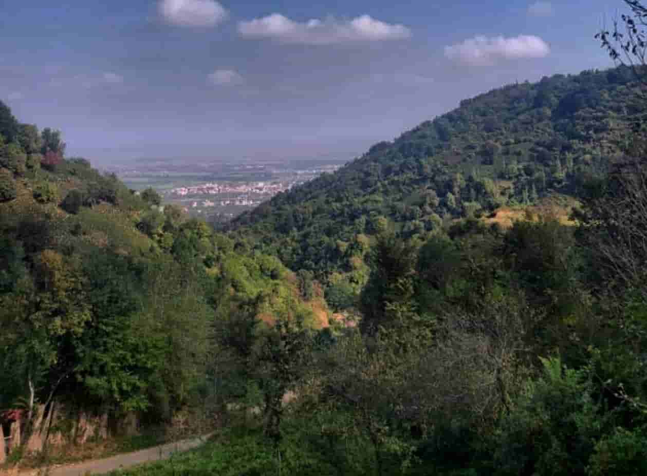 اجاره اتاق سنتی در گالشکلام لنگرود - تاسیان